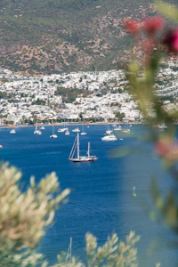 Beyaz evleriyle Bodrum ve koydaki yelkenliler